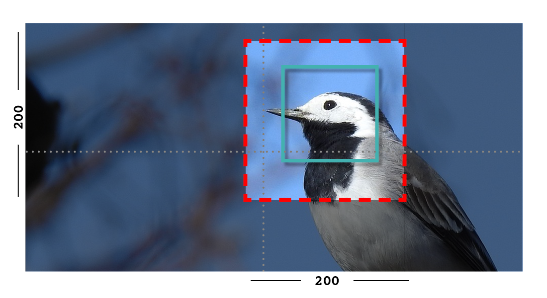 Example of fill and closeness filter on an image with a focal point set.