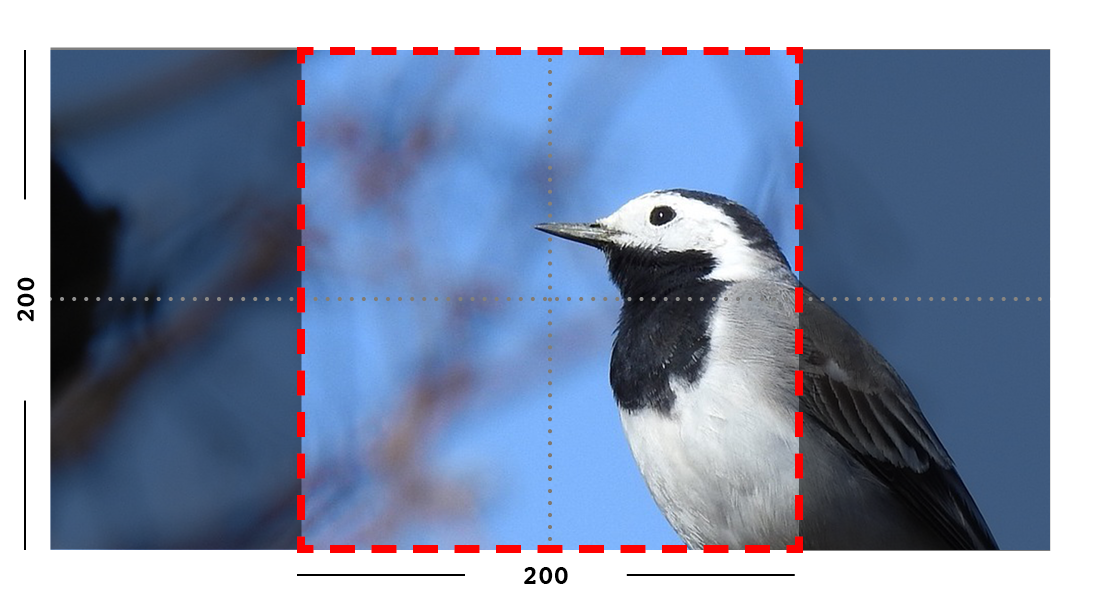 Example of fill filter on an image.