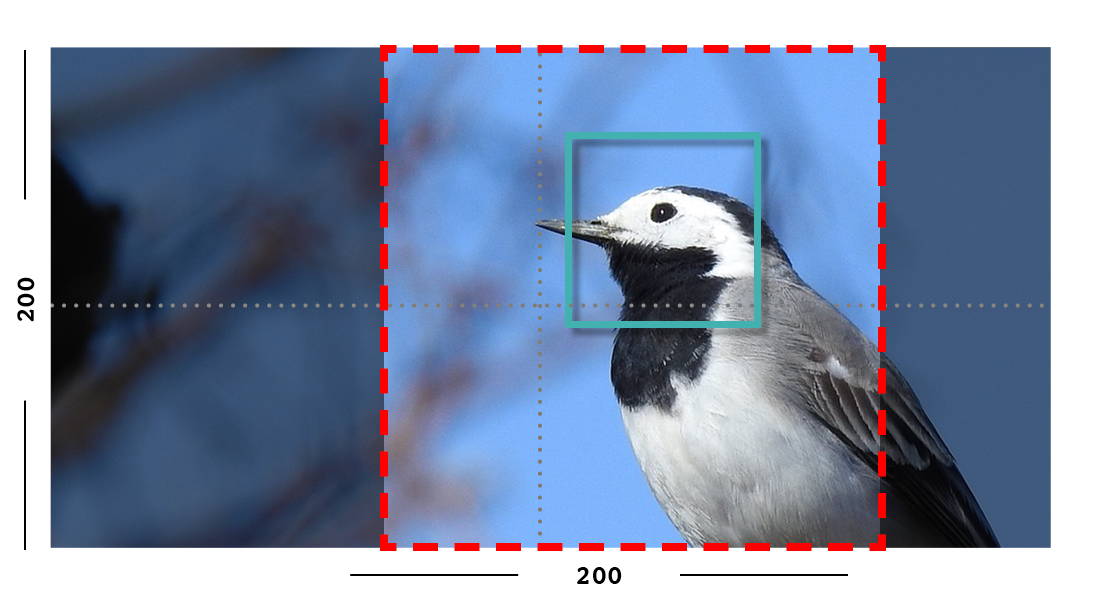 Example of fill filter on an image with a focal point set.