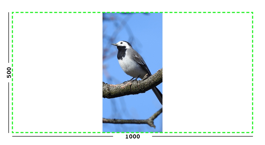 Example of max filter on an image.
