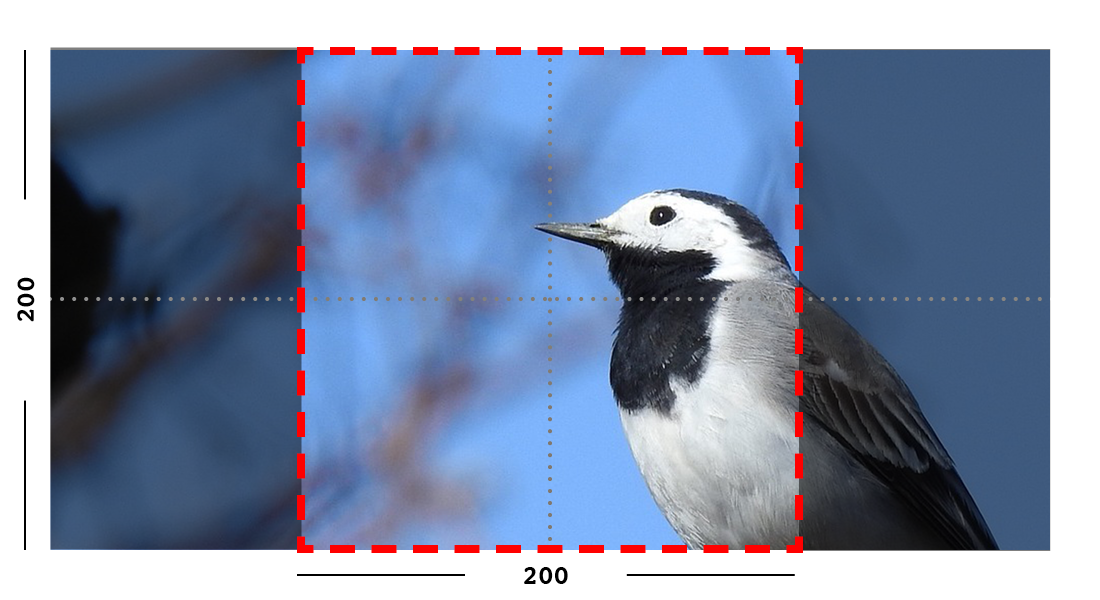 Example of fill filter on an image.