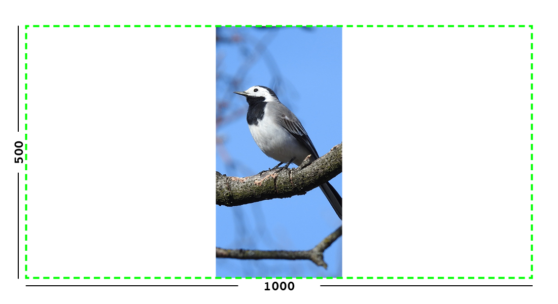 Example of max filter on an image.