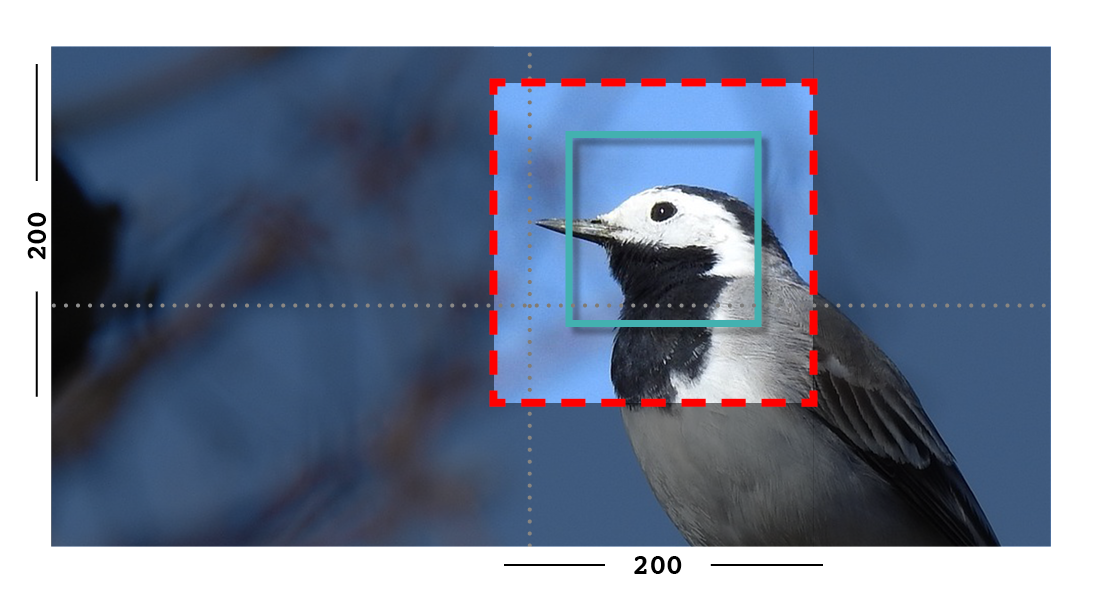 Example of fill and closeness filter on an image with a focal point set.