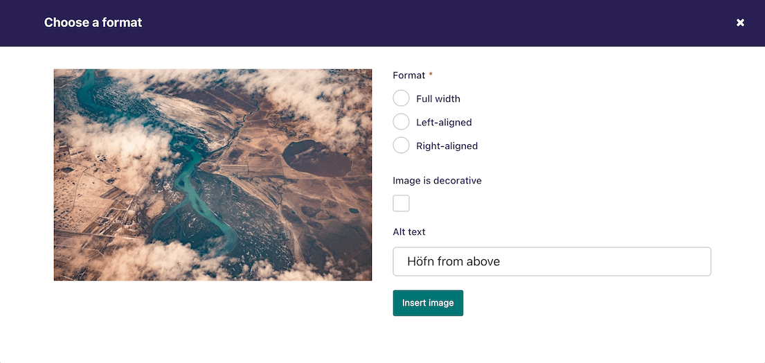 "Choose a format" modal dialog, with Format radio field with three options, an "Image is decorative" checkbox, and an Alt text field underneath, with "Insert image" button