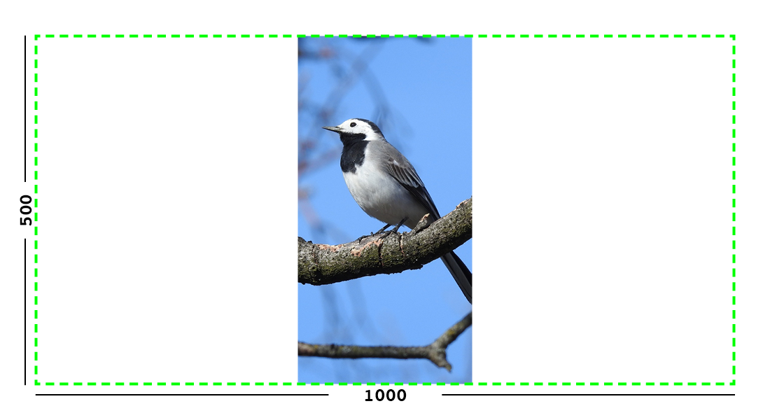 Example of max filter on an image