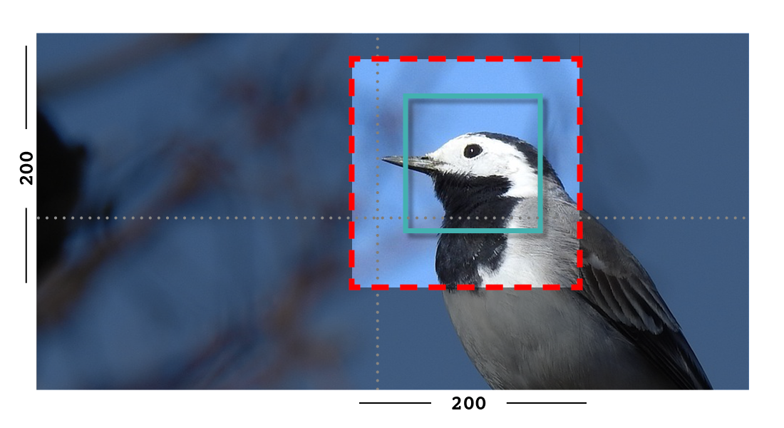 Example of fill and closeness filter on an image with a focal point set