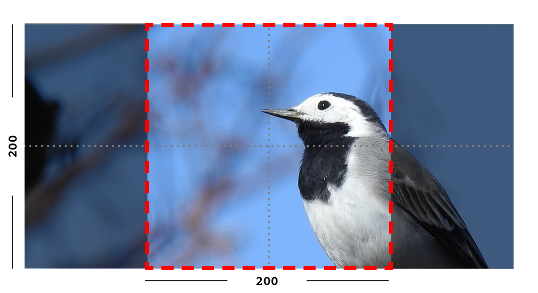 Example of fill filter on an image