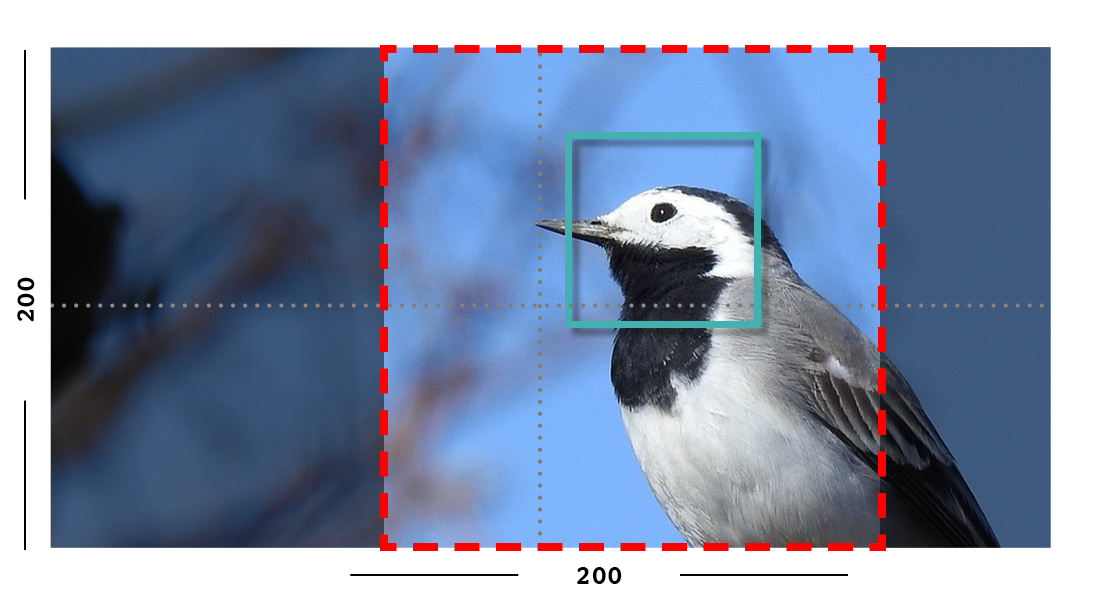 Example of fill filter on an image with a focal point set